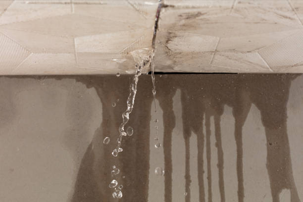 Professional Structural Drying technician working in Marion, KS